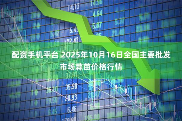 配资手机平台 2025年10月16日全国主要批发市场蒜苗价格行情