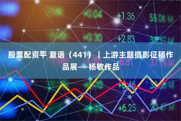 股票配资平 夏语（441）｜上游主题摄影征稿作品展——杨敏作品